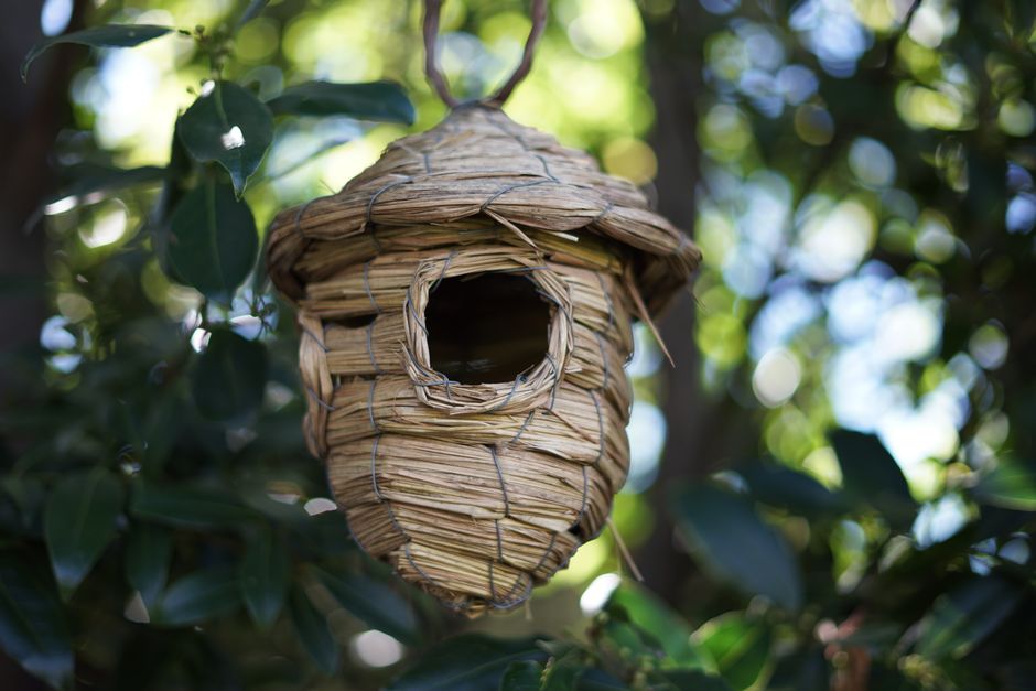 Close-up of a straw woven bird house hanging outdoors among green foliage.