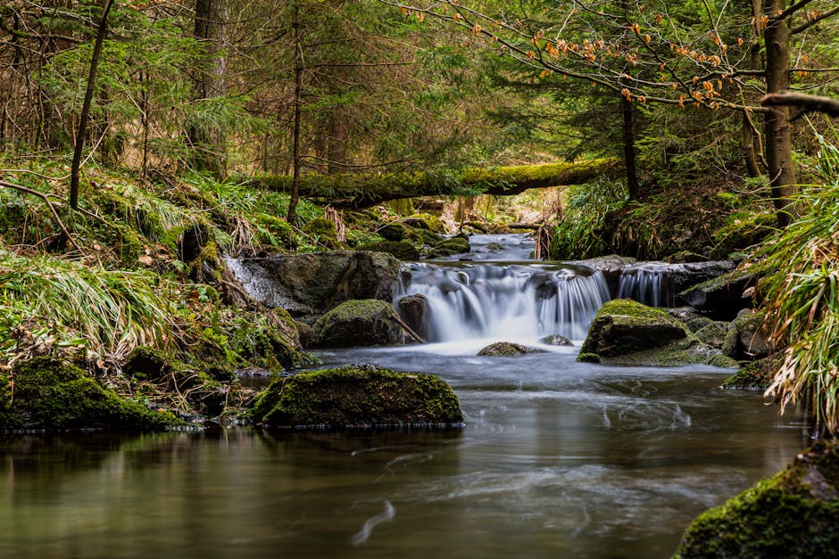 Rent the Runway vs. Nuuly: Choosing the Right Event Dress Rental